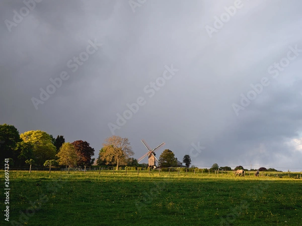 Obraz Windmill, landscape