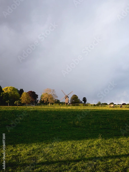Obraz Windmill, landscape