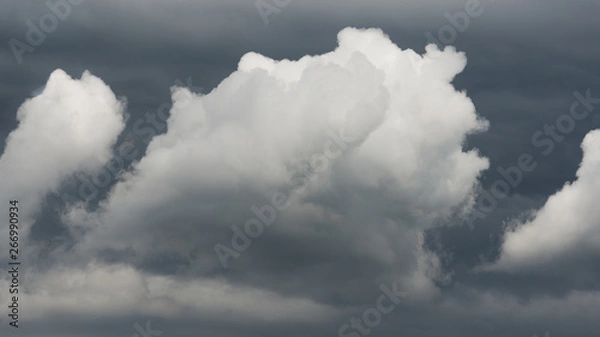Obraz Cloud Cumulus mediocris