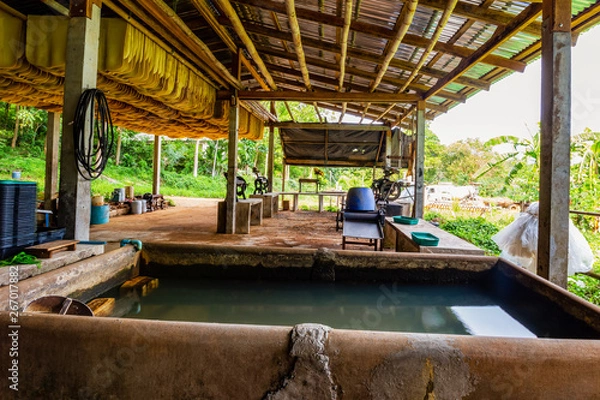 Fototapeta Small rubber industry on Koh Mak Is one of the people's occupations on this island