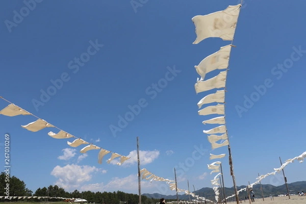 Obraz Ｔシャツ　空