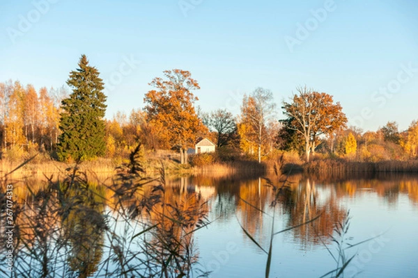 Fototapeta landscape evening lights