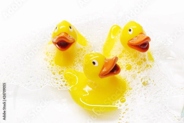 Obraz Three rubber ducks