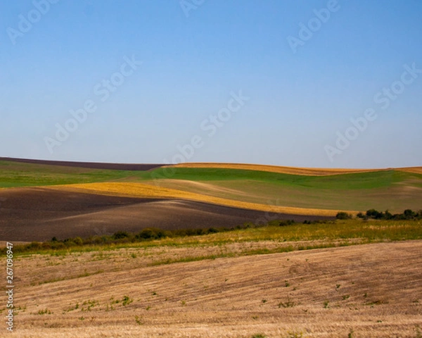 Fototapeta colourful fields 