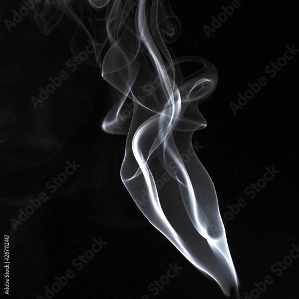 Obraz Abstract white smoke swirls pattern over the black background