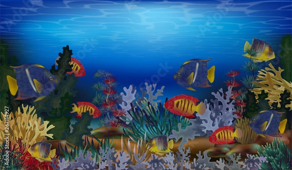 Fototapeta Underwater tropical background, vector illustration