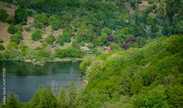 Obraz Rydal Water and surrounding Woodland