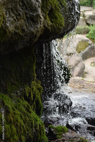 Fototapeta waterfall in forest