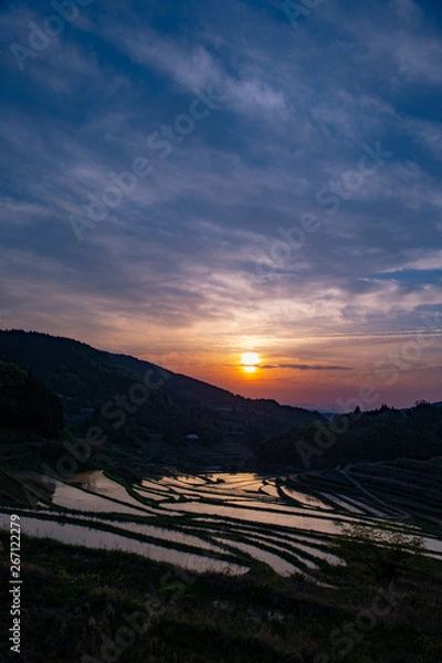Obraz 田植え直後の棚田に夕日が反射して美しい。