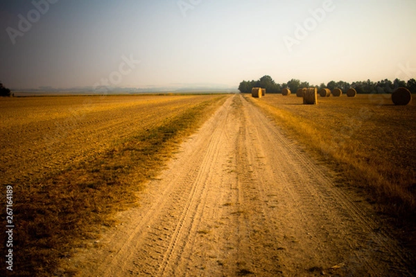 Fototapeta Tiny dusty road in the countryside between fields