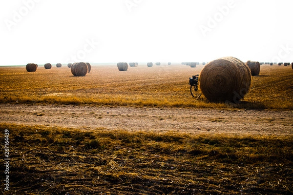 Fototapeta Touring bike hidden by a hay ball in a big orangee-colored field