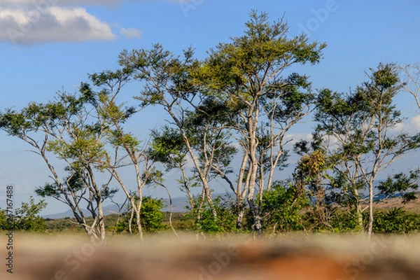 Obraz Green Blue frame three cover