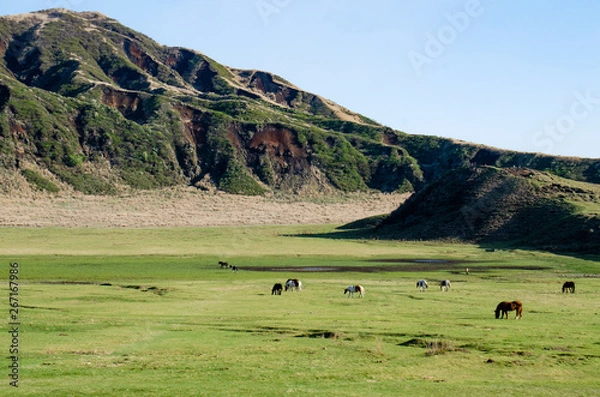Obraz 熊本・阿蘇 草千里の風景