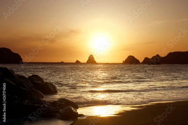 Obraz Magnificent sunset. Goat Rock Beach is located between Goat Rock Point and the Russian River along the Sonoma County shore near the town of Jenner. The Russian River, with its mouth at the north end 