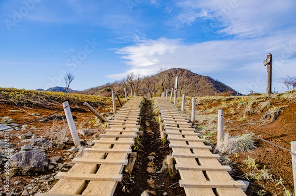 Fototapeta 丹沢山歩道