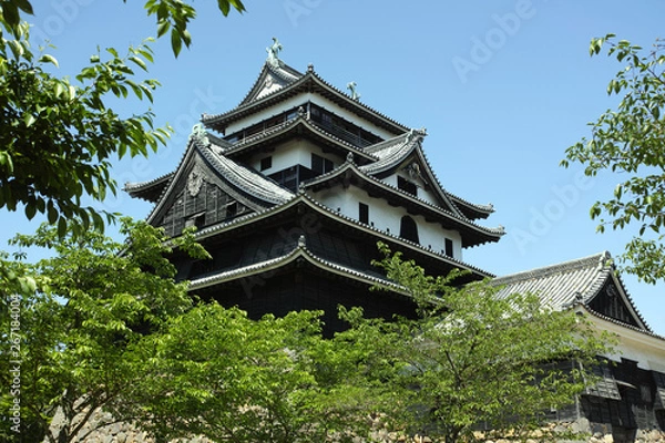 Fototapeta 初夏の天守閣