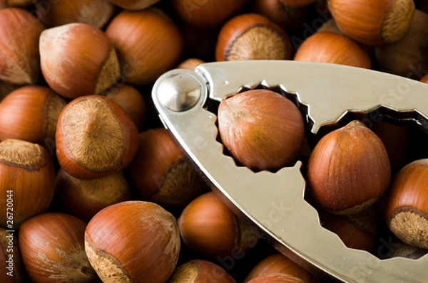 Obraz nutcrackers with nuts