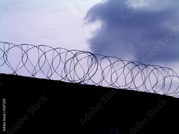 Obraz brabed wire