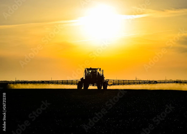 Fototapeta tractor with the help of a sprayer sprays liquid fertilizers on young wheat in the field.