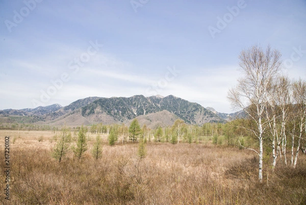 Fototapeta 戦場ヶ原から望む白根山