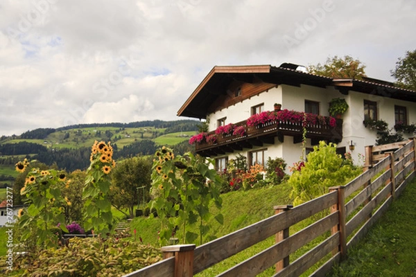 Obraz Typical Austrian architecture