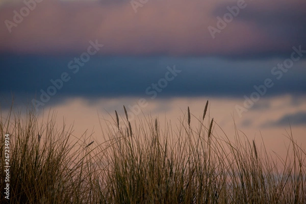 Obraz Sand Dunes at Sunset
