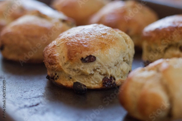 Obraz Freshly Baked Scones