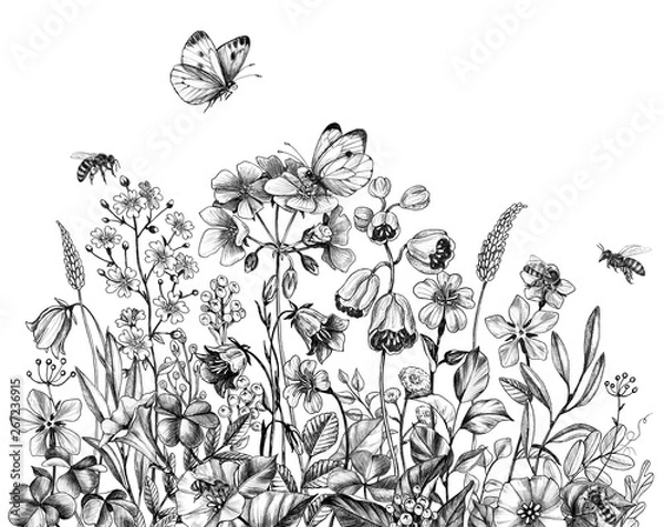 Obraz Hand Drawn Wildflowers, Bees  and Butterfly