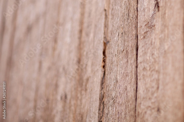 Fototapeta Wood Texture Background,with vintage toned style. Background, backdrop.