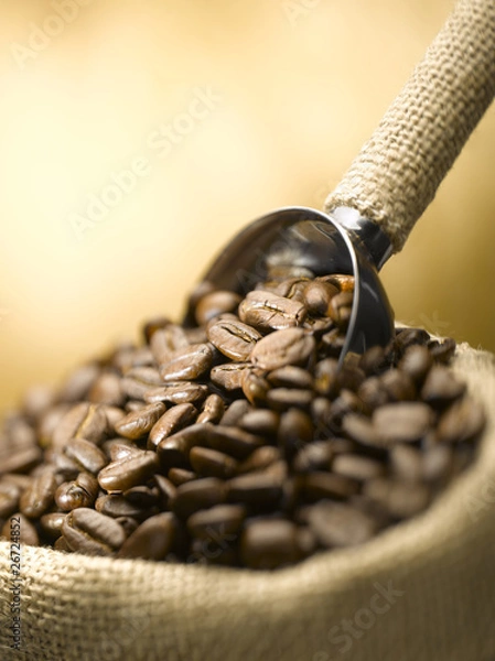 Obraz Colombian coffee