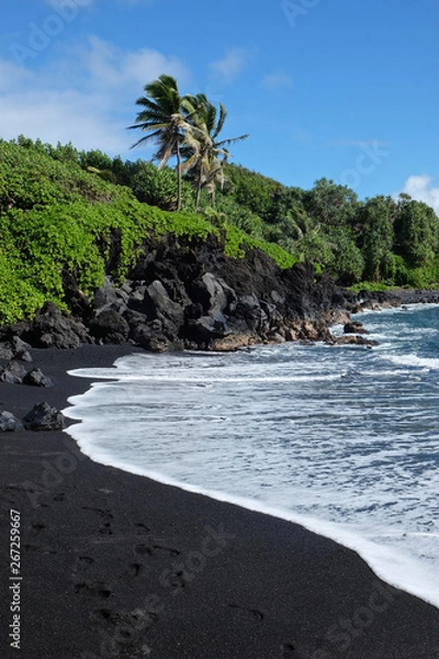 Obraz Black Sand Beach Paradise