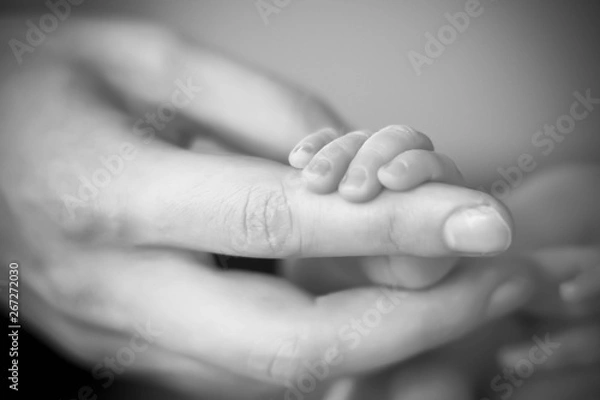 Fototapeta First touch