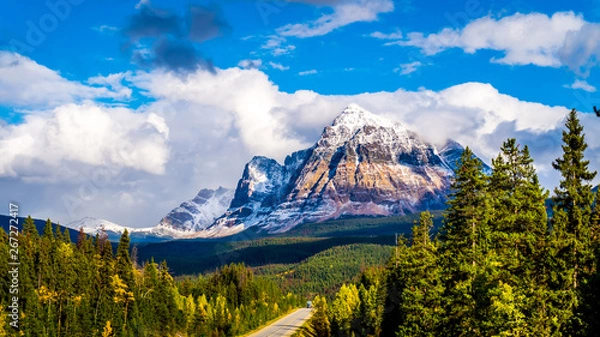Fototapeta Mount Fitzwilliam, East on the Yellowhead Highway,  part of the Canadian Rockies. The lower half is dolomite. The upper half quartzite covered with lichen that gives it a very dark gray color