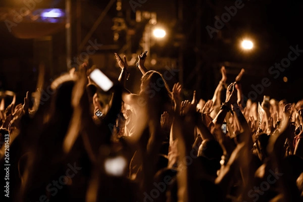 Fototapeta Large group of people clapping hands on music concert.