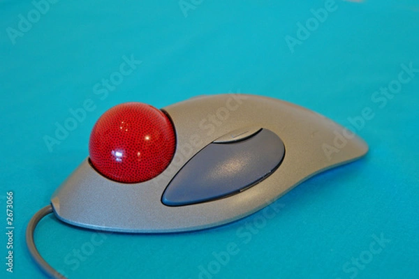 Fototapeta muti-purpose mouse