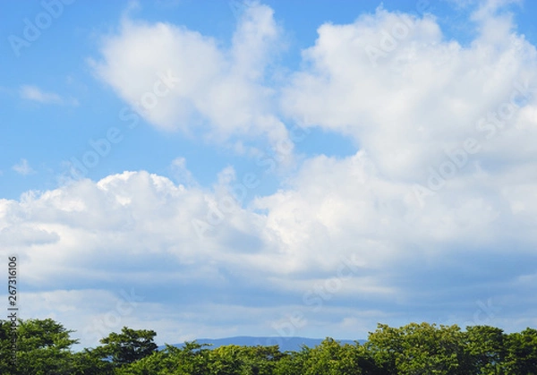 Obraz 木　山　空　雲　素材