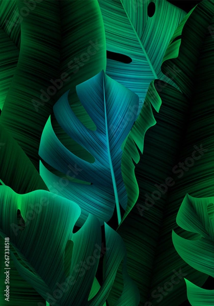 Fototapeta Tropical Banner with Realistic Banana Tree and Monstera Leaves. Minimalist Greenery Bg. Background with Jungle Leaves