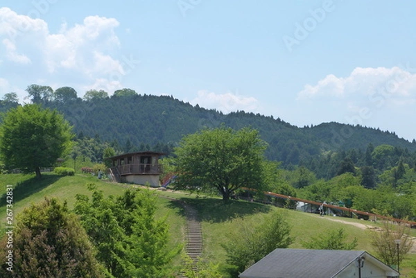 Obraz 滑り台のある風景