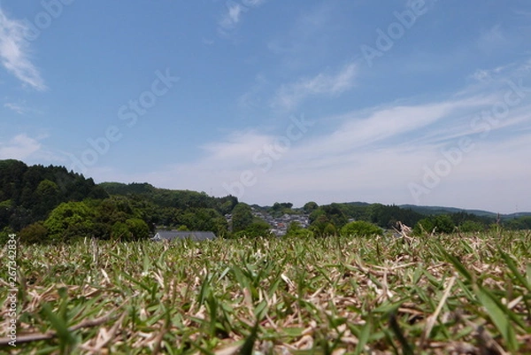 Fototapeta 牧草と空