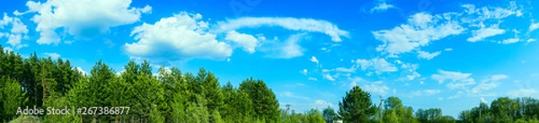 Obraz panoramic view forest and blue sky