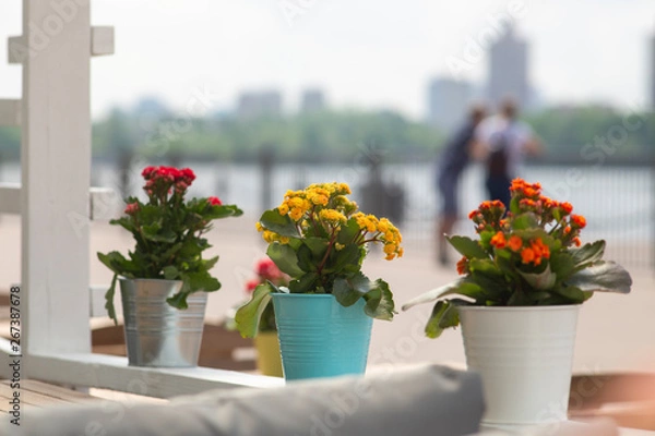 Fototapeta Cafe with river view