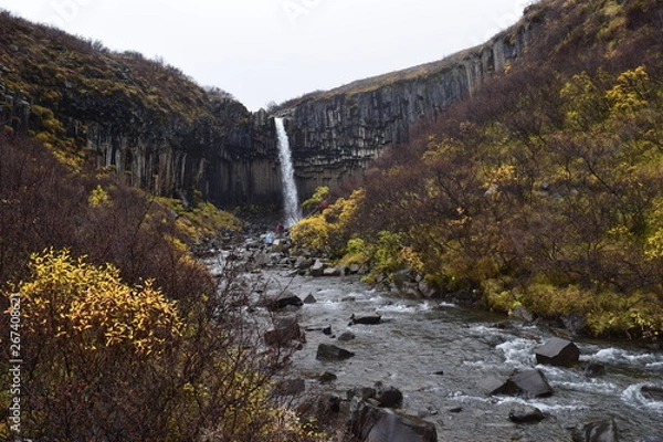 Obraz Iceland Pictures