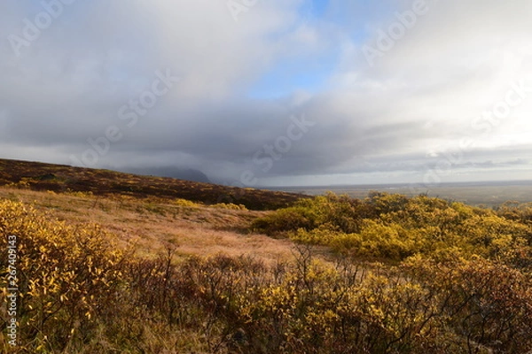Obraz Iceland Pictures