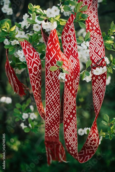 Obraz Lielvardes belt in spring