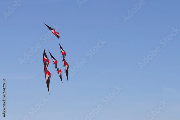 Fototapeta Kite flying on a sunny day