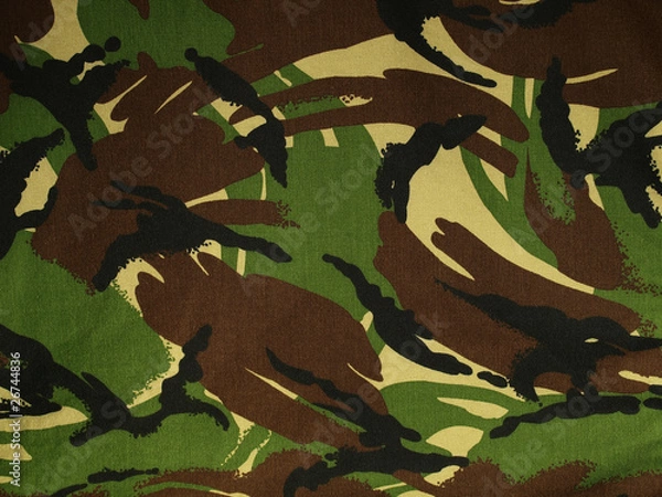 Obraz Camouflage