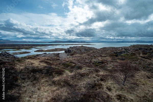 Obraz Icelandic coast