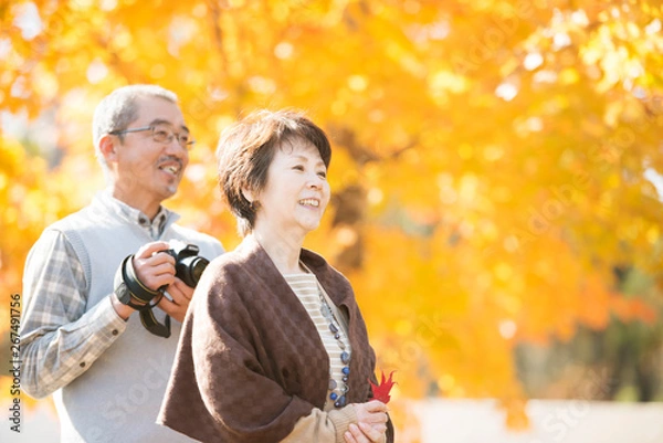 Obraz 紅葉を眺めるシニア夫婦