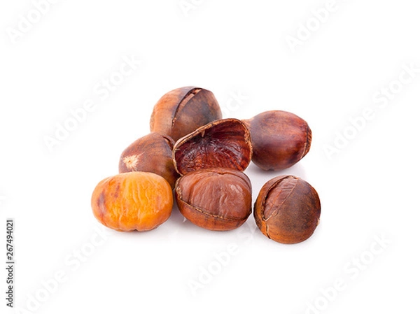 Obraz chestnut isolated on white background