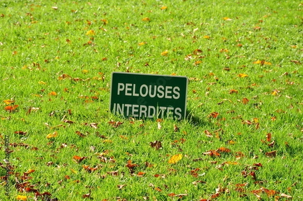 Obraz pelouse interdite
